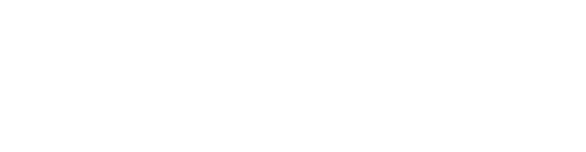专业服务 - NG28